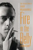 Fuego en el vientre: Vida y obra de David Wojnarowicz - Fire in the Belly: The Life and Times of David Wojnarowicz
