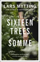 Dieciséis árboles del Somme - Sixteen Trees of the Somme