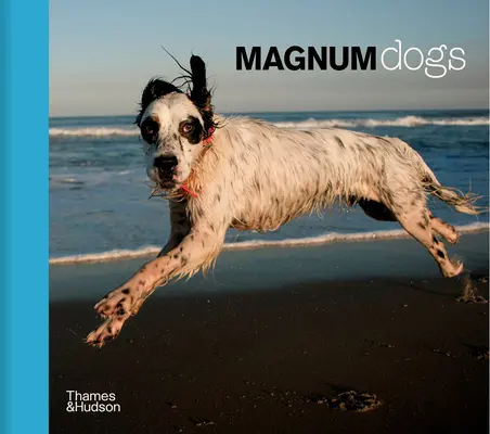 Perros Magnum - Magnum Dogs