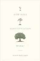 ¿Cómo funciona la santificación? - How Does Sanctification Work?