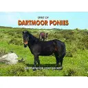 El espíritu de los ponis de Dartmoor - Spirit of Dartmoor Ponies