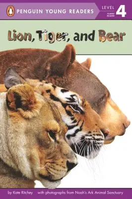 León, tigre y oso - Lion, Tiger, and Bear