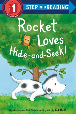 A Cohete le encanta el escondite - Rocket Loves Hide-And-Seek!