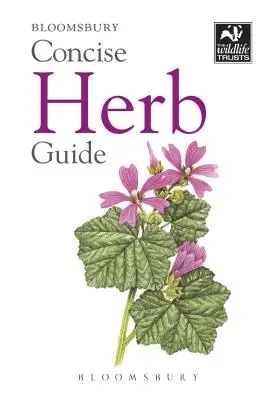 Guía concisa de hierbas - Concise Herb Guide