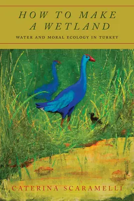 Cómo hacer un humedal: Agua y ecología moral en Turquía - How to Make a Wetland: Water and Moral Ecology in Turkey