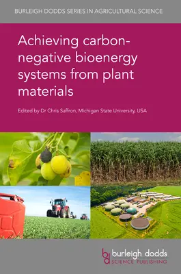 Lograr sistemas bioenergéticos con emisiones negativas de carbono a partir de materiales vegetales - Achieving Carbon-Negative Bioenergy Systems from Plant Materials