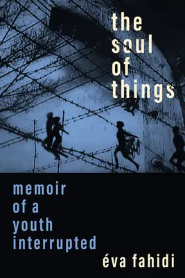 El alma de las cosas: Memorias de una juventud interrumpida - The Soul of Things: Memoir of a Youth Interrupted