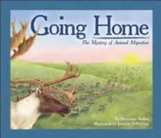 De vuelta a casa: El misterio de la migración animal - Going Home: The Mystery of Animal Migration