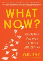 ¿Y ahora qué? Meditación a partir de los veinte años - What Now?: Meditation for Your Twenties and Beyond