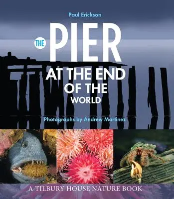 El muelle del fin del mundo - The Pier at the End of the World