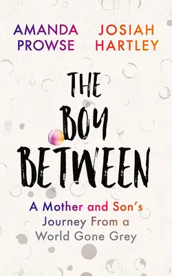 The Boy Between: El viaje de una madre y su hijo desde un mundo gris - The Boy Between: A Mother and Son's Journey from a World Gone Grey