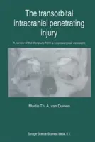 La lesión penetrante intracraneal transorbital: Una revisión de la literatura desde el punto de vista neuroquirúrgico - The Transorbital Intracranial Penetrating Injury: A Review of the Literature from a Neurosurgical Viewpoint