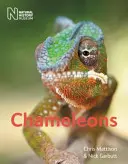 Camaleones - Chameleons