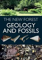 New Forest - Geología y fósiles - New Forest - Geology and Fossils