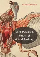 Al desnudo: El arte de la anatomía animal - Stripped Bare: The Art of Animal Anatomy