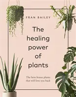 El poder curativo de las plantas - El héroe Plantas de interior que te devuelven el amor - Healing Power of Plants - The Hero House Plants that Love You Back