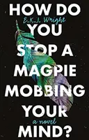 ¿Cómo evitar que una urraca te acose? - How Do you Stop a Magpie Mobbing Your Mind?