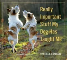 Cosas realmente importantes que me ha enseñado mi perro - Really Important Stuff My Dog Has Taught Me