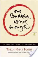 Un Buda no basta: Una historia de despertar colectivo - One Buddha Is Not Enough: A Story of Collective Awakening