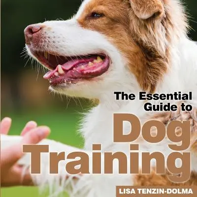 Adiestramiento canino - Dog Training