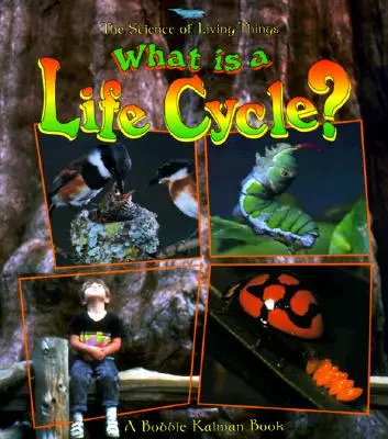 ¿Qué es un ciclo vital? - What Is a Life Cycle?