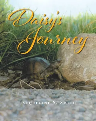 El viaje de Daisy - Daisy's Journey