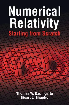 Relatividad numérica: Empezar de cero - Numerical Relativity: Starting from Scratch