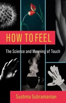 Cómo sentir: la ciencia y el significado del tacto - How to Feel: The Science and Meaning of Touch