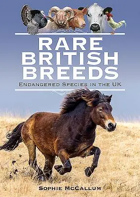 Raras razas británicas: Especies en peligro de extinción en el Reino Unido - Rare British Breeds: Endangered Species in the UK