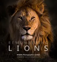 Recordando a los leones - Remembering Lions