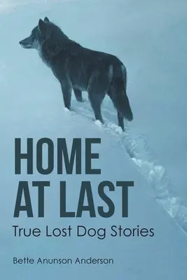 Por fin en casa: Historias reales de perros perdidos - Home at last: True Lost Dog Stories