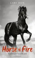 Caballo de fuego - y otras historias del mundo - Horse of Fire - and other stories from around the world