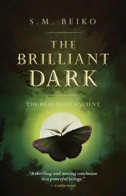 La Brillante Oscuridad: Los Reinos de los Antiguos, Libro 3 - The Brilliant Dark: The Realms of Ancient, Book 3
