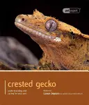 Geco Crestado Cómo entender y cuidar a su mascota - Crested Gecko: Understanding and Caring for Your Pet