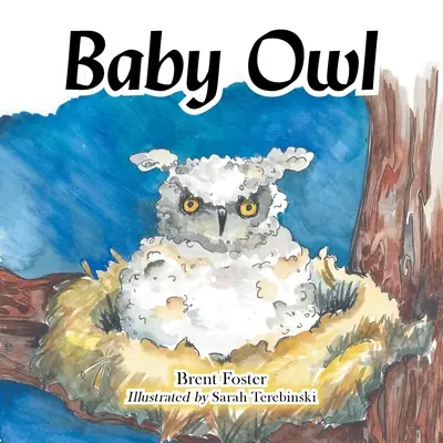 Bebé Búho - Baby Owl