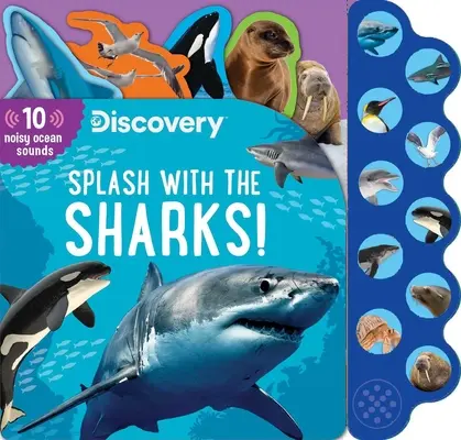 Descubrimiento: Chapotea con los tiburones - Discovery: Splash with the Sharks!