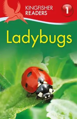 Mariquitas - Ladybugs