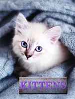 Gatitos - Kittens