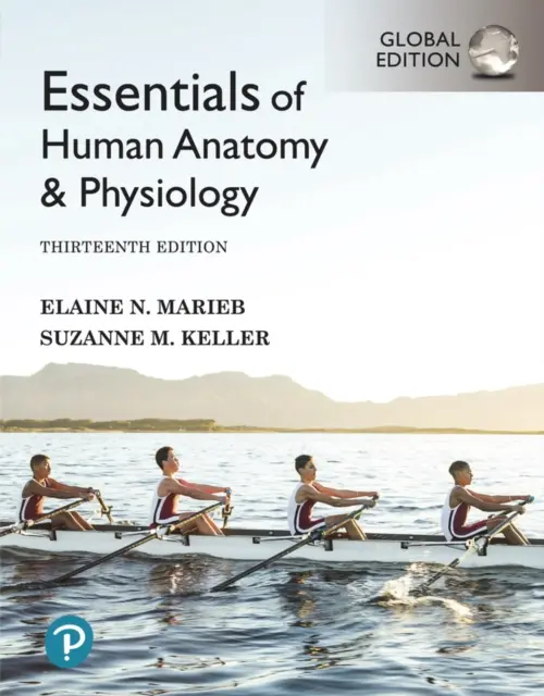 Fundamentos de Anatomía y Fisiología Humanas [Global Edition] - Essentials of Human Anatomy & Physiology [Global Edition]