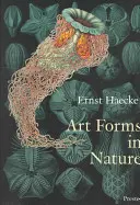 Formas artísticas en la naturaleza: Los grabados de Ernst Haeckel - Art Forms in Nature: The Prints of Ernst Haeckel