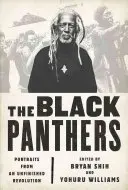 Los Panteras Negras: Retratos de una revolución inacabada - The Black Panthers: Portraits from an Unfinished Revolution