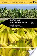 Bananas y plátanos - Bananas and Plantains