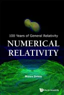 Relatividad numérica - Numerical Relativity