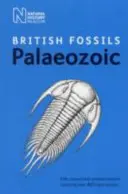 Fósiles paleozoicos británicos - British Palaeozoic Fossils