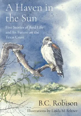 Un refugio bajo el sol: Cinco historias sobre la vida de las aves y su futuro en la costa de Texas - A Haven in the Sun: Five Stories of Bird Life and Its Future on the Texas Coast