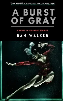 Un estallido de gris: Una novela en relatos de 100 palabras - A Burst of Gray: A Novel in 100-Word Stories