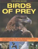 Explorando la naturaleza: Aves de presa: Aprende sobre águilas, búhos, halcones, gavilanes y otros poderosos depredadores del aire, en 190 emocionantes imágenes. - Exploring Nature: Birds of Prey: Learn about Eagles, Owls, Falcons, Hawks and Other Powerful Predators of the Air, in 190 Exciting Pictures