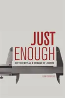 Lo justo: La suficiencia como exigencia de justicia - Just Enough: Sufficiency as a Demand of Justice