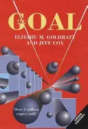 El objetivo: un proceso de mejora continua - The Goal: A Process of Ongoing Improvement