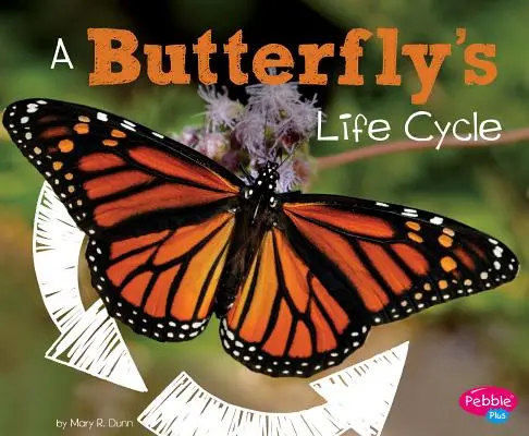 El ciclo vital de una mariposa - A Butterfly's Life Cycle